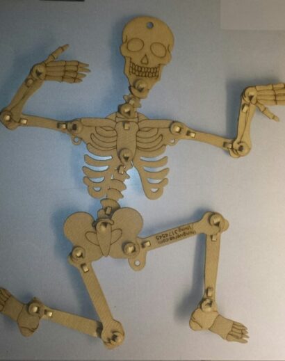 Articulated Skeleton
