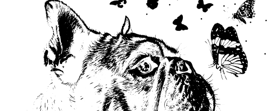 Captura-de-tela-2025-03-14-174636.png