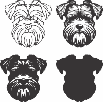 Dandie Dinmont Terrie