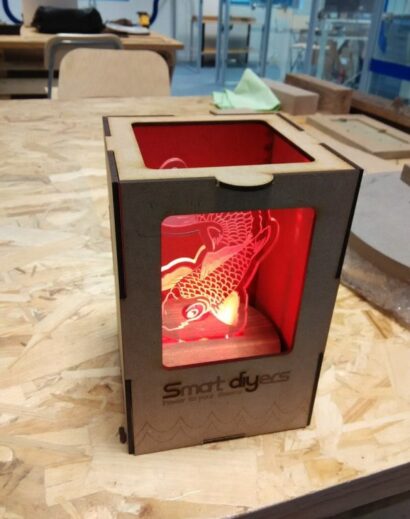 Koi Lamp