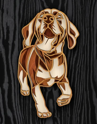 Layered beagle dog