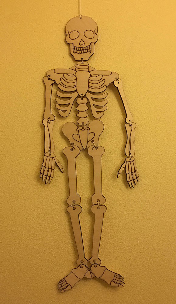 esqueleto-Humano.jpg