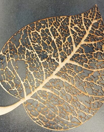 Folha - Leaf Skeleton