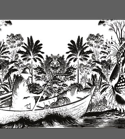 Pesca Onça
